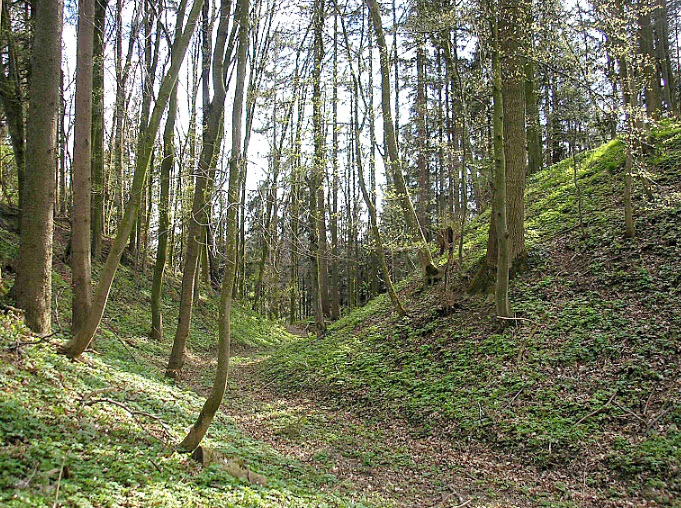 Burgstall Bachern, Germany